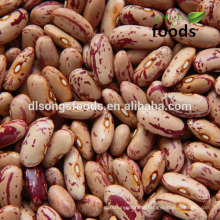 Light Speckled Kidney Beans, Long shape